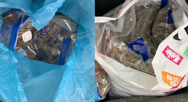 231E97D5-DAE2-4D76-A405-650027ABEC0A