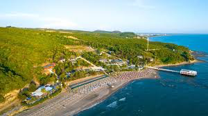 0B0B9360-0A54-4323-BABA-9B46DCCD0AE2