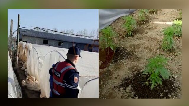 73D1841D-19F6-4320-9FC2-87401C6ADFCE