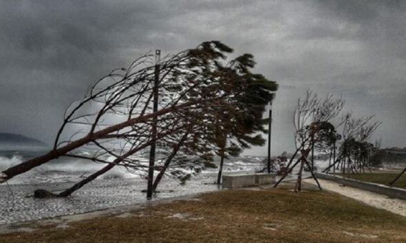 CDA58826-A4AE-4676-9B90-30DC4892C5AE