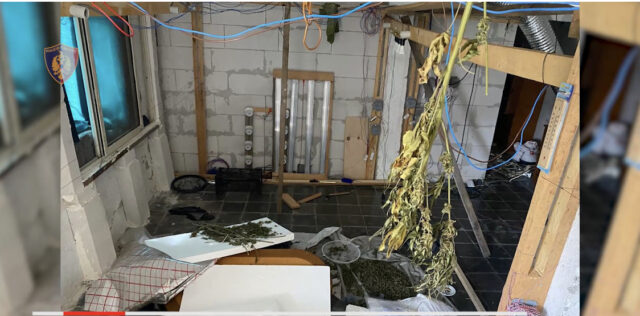 D481DCC5-7327-4D65-8D29-7BE5AFA8BECA