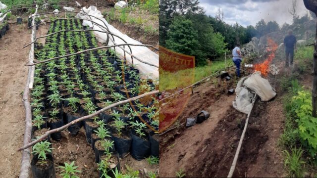 F9FF24FB-71C2-4AC8-85B3-CA81E5B9E6BB