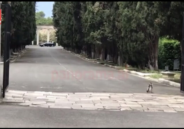 9FAC00C7-2249-44C8-B9B6-E0600DA3E3EB