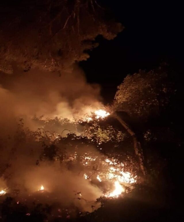 E8D57504-772F-4493-8AE4-31F3B6B65BC9