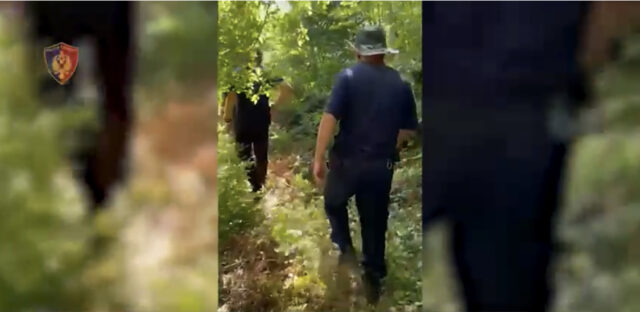 6137719B-C5B4-490C-B1D0-446F0A23D97D