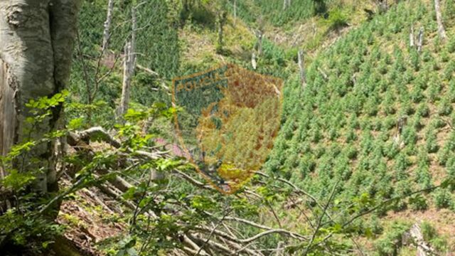 69670101-B90E-45CC-B601-CAF01B1633A2