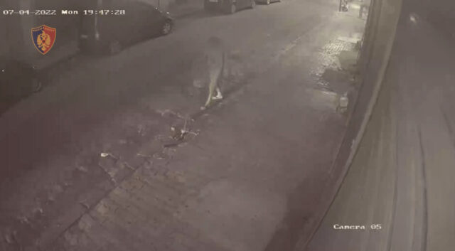 7E48D2D6-B08E-44C2-A537-43A6CDAEAA3B