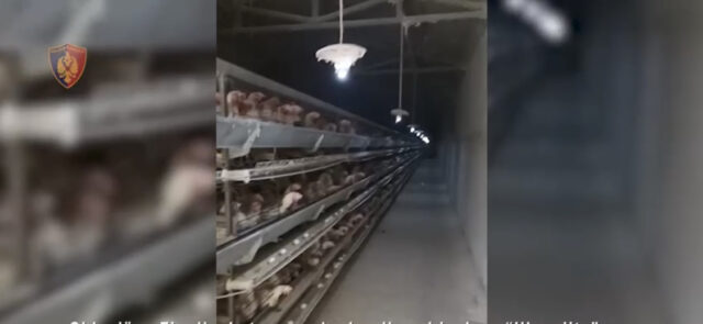 08AAE5F9-3A69-4D70-9537-4080ABF30DB1