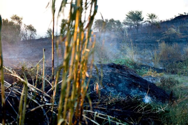 26108035-A508-4FF7-A1E7-2312C45D2A92