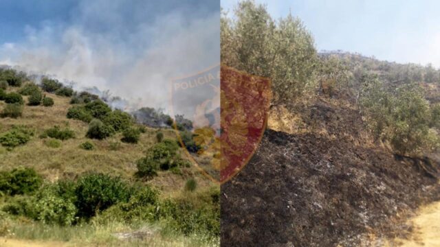 84B9811E-4BF6-43E7-AFAD-727B61E65307