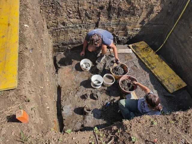 8AD03619-6B61-4D0E-A8E3-0772E331096C