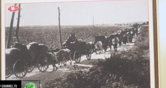 92007B07-958A-49DB-8F3C-9E522DDDA81D