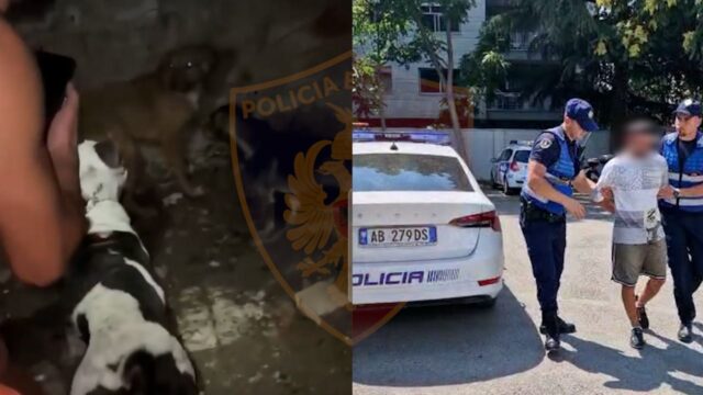 97182287-43A9-4222-B33C-81BBF9B40CC9