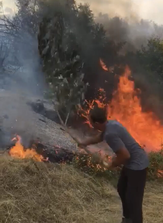 9AF10AD9-8F78-4837-ADC1-8C28BC7B8B9B