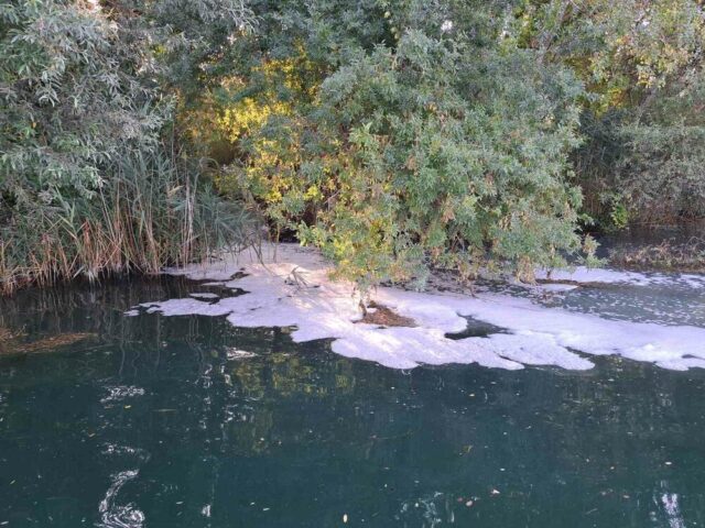 9C06914E-F8AF-4E6D-8F7D-3D605B0F4BB1