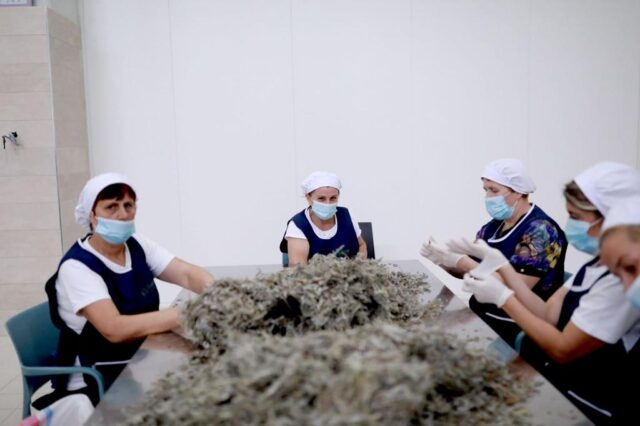 27D91F40-8B37-4F76-85DE-28824E1C3458