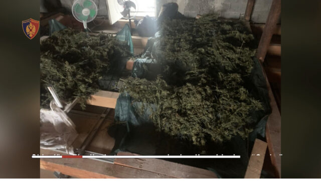 916465FE-D62E-41F7-AFC0-A56B11DA95FC