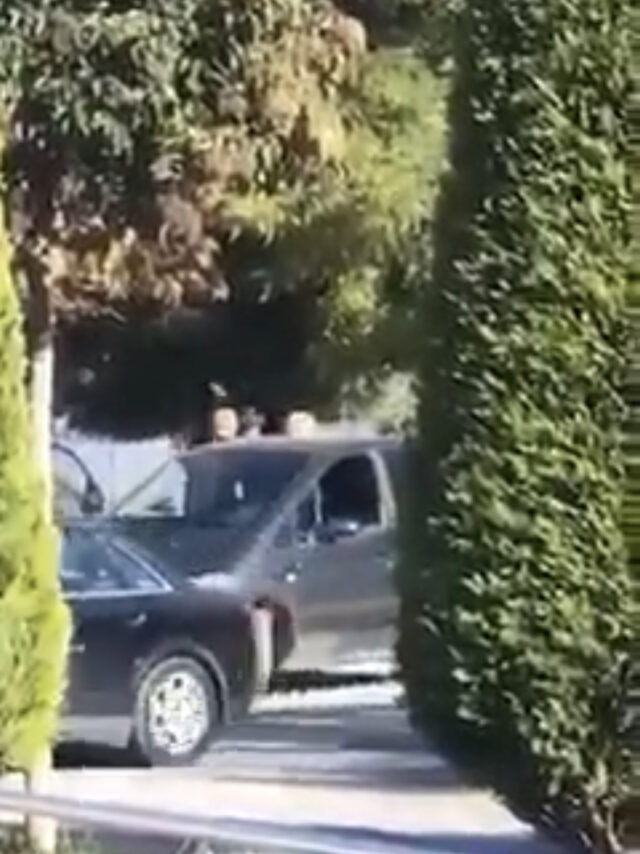 CC27213B-A676-4588-8FC3-9639F7179438