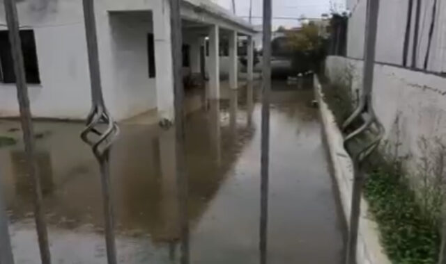 3B98B08B-8270-4991-87F6-345C82A16BB3