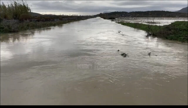 633B5686-D4ED-41F4-8D0D-54917B76B495