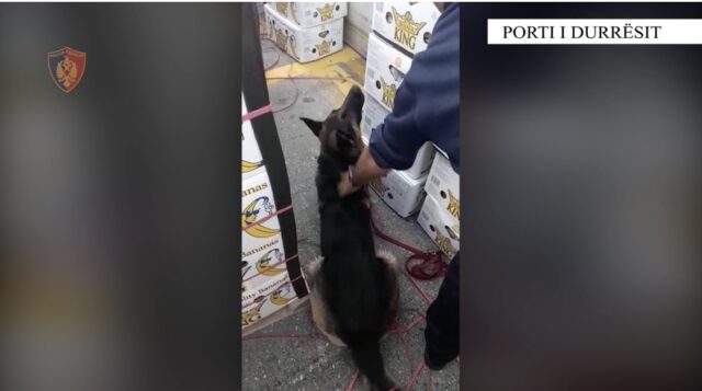 75FE11A1-EA8A-4DC8-A068-528652A22C2F