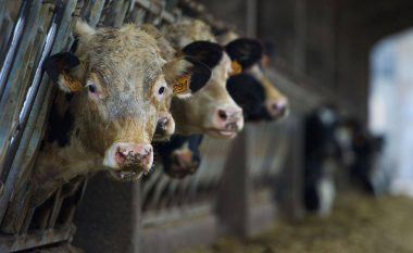 C8C87A1E-1F83-4F15-BF05-CE750D54CFAB