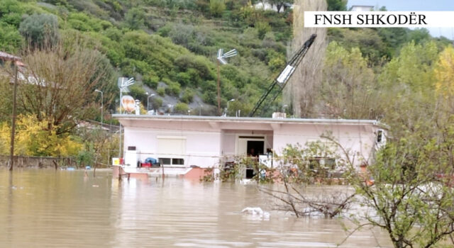 D8D83667-EB4E-43B7-A491-BE13B4EC6E4B