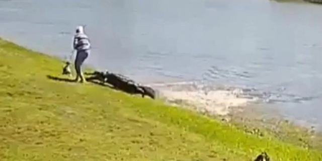 81474AFD-C89E-46CA-B9FA-DDE8DF79D8AA