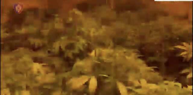 86357B78-E0E8-4BF5-99A0-C44DF4874422