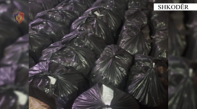 908EDFF0-36AF-44CE-8187-C498CBCFF982