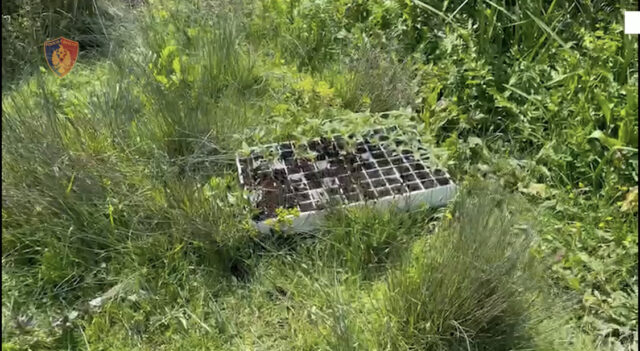 4039E742-B411-46AC-8691-08E00C5884AF