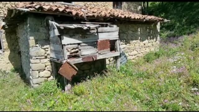 6f46a369-59bb-4a20-9fc8-90174a00f506