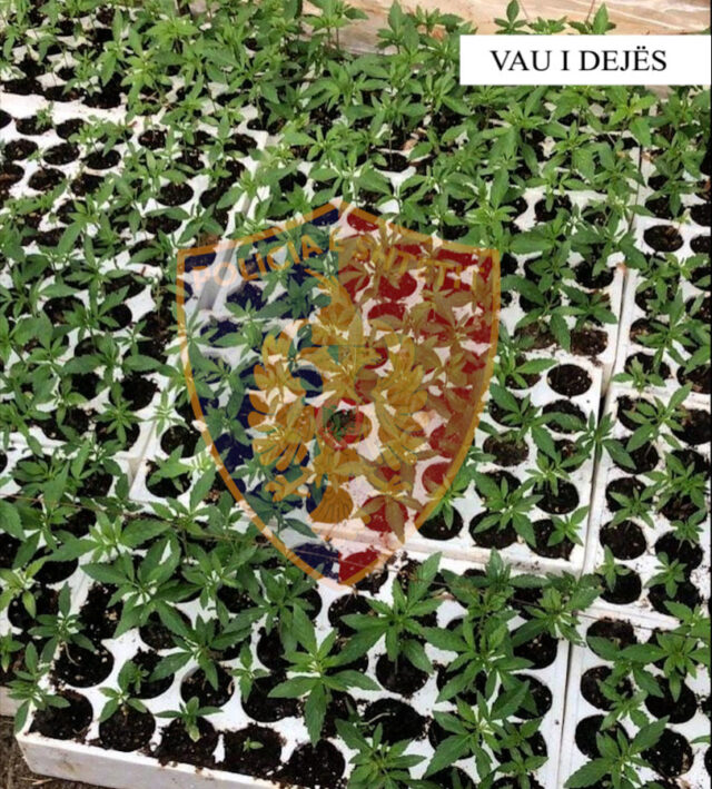 ce97c68d-d579-4a73-b233-cb9b986342ae