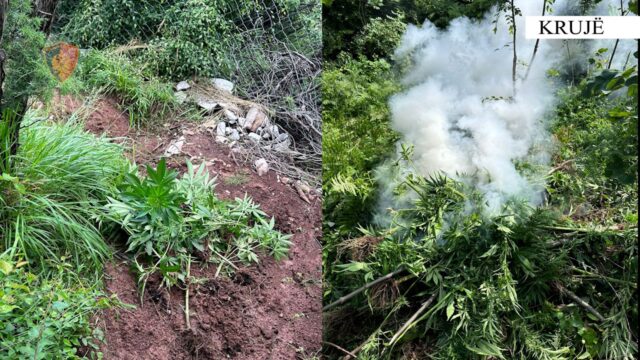 3db9347c-0cfe-4189-8a5c-fba89856f3ee