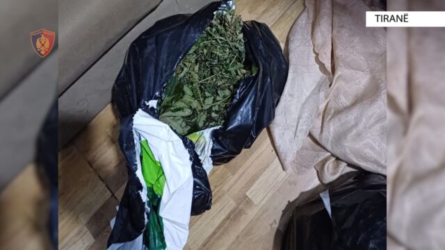 95dba894-c1fa-4609-b3ab-2acfa640f29e