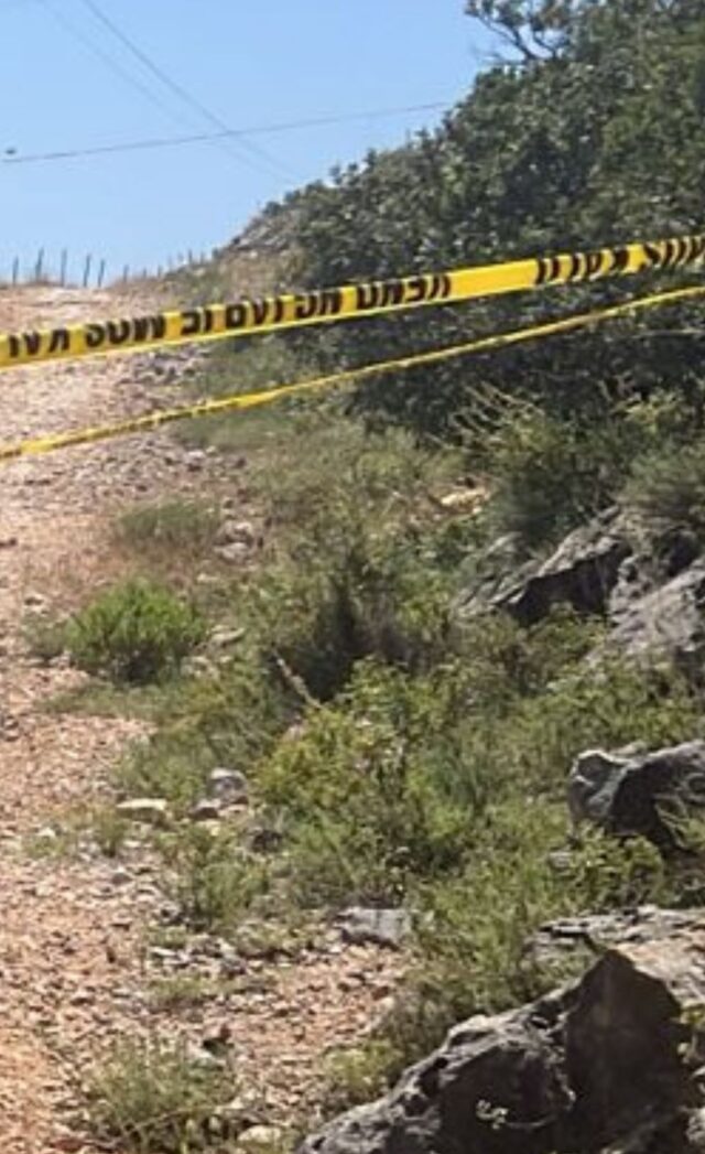 1d6b1ac6-430a-4838-befe-5971609fb825