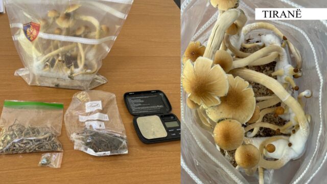 0a729dc5-d2d7-49a5-a538-e4485670c341