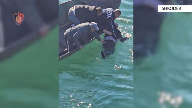 75e8d9cd-e1ac-44d5-ae29-a10a795d8f8c