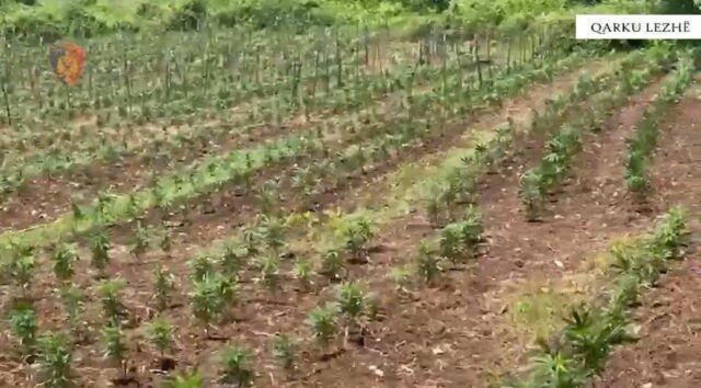 52f263df-930d-4f2b-a5d5-10cb2b2fd86f